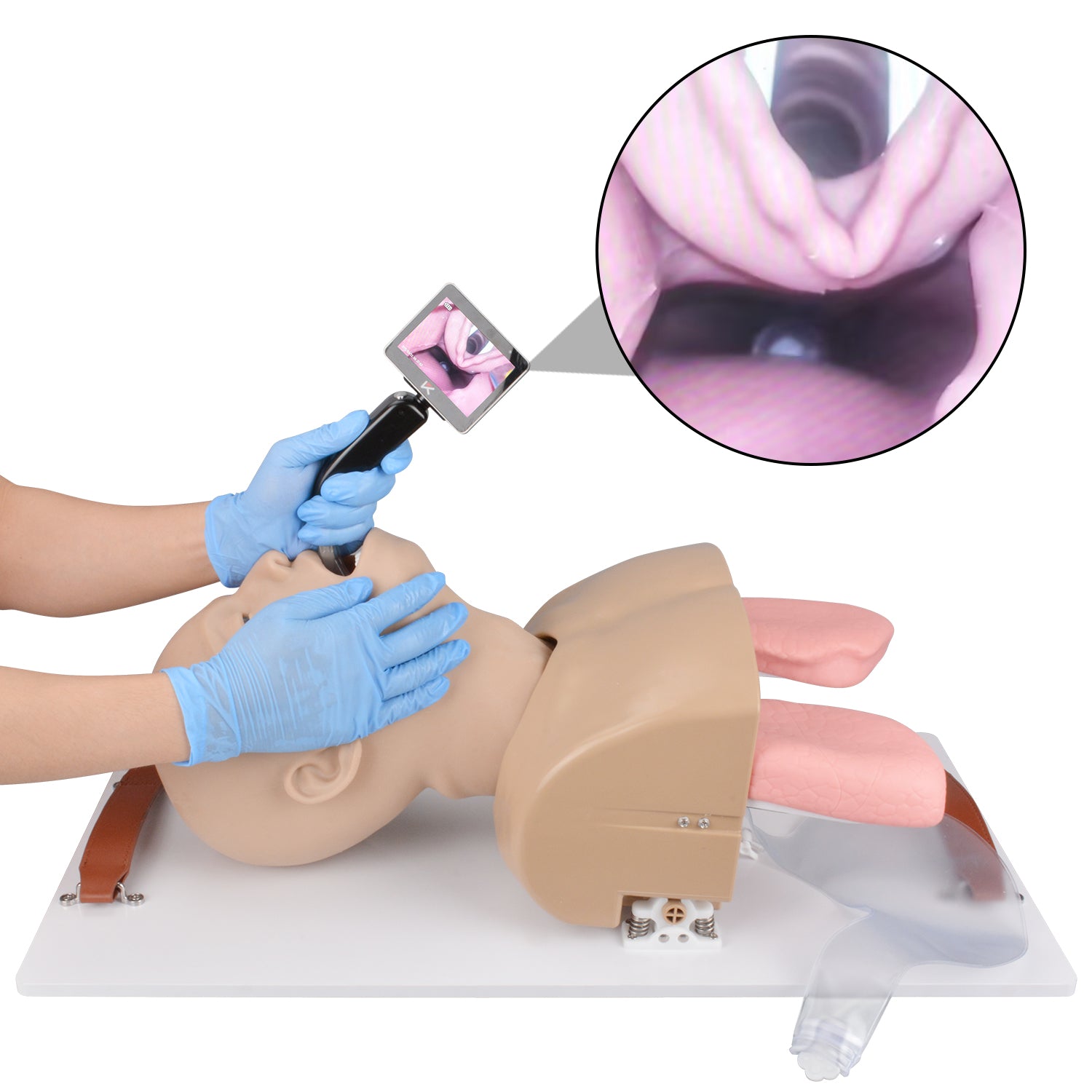 Airway Management Trainer Difficult Airway Simulation Manikin