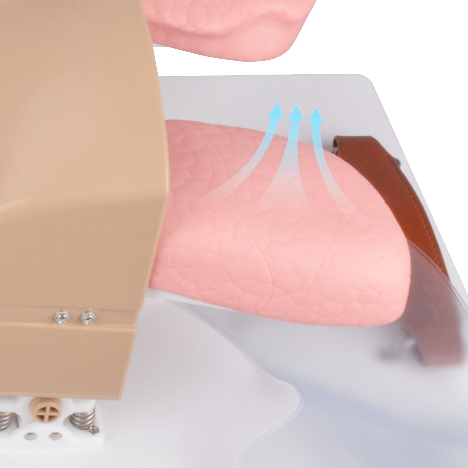 Airway Management Trainer Dynamic Airway Training Feedback