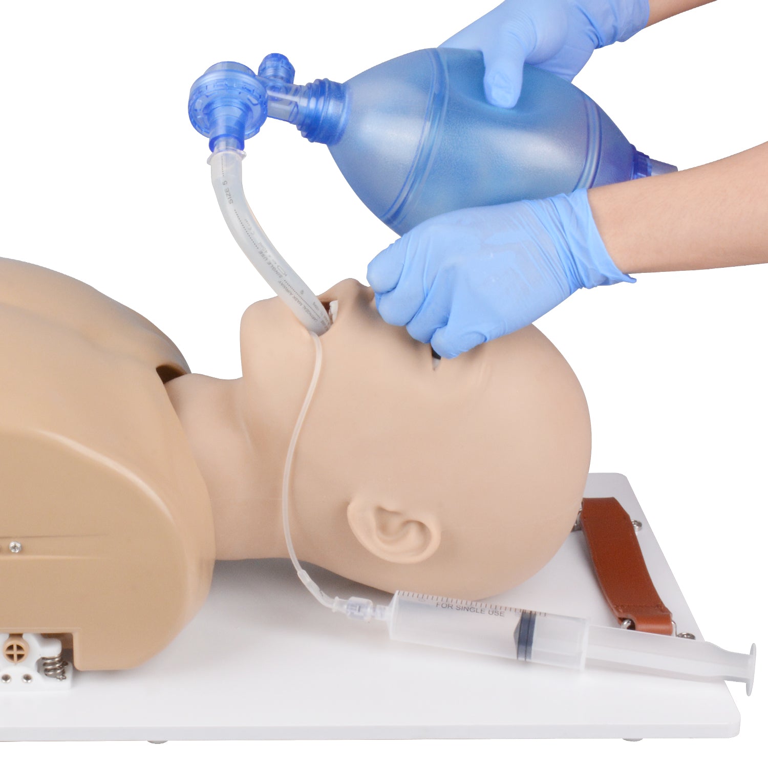 Airway Management Trainer Laryngeal Mask Airway Insertion Practice