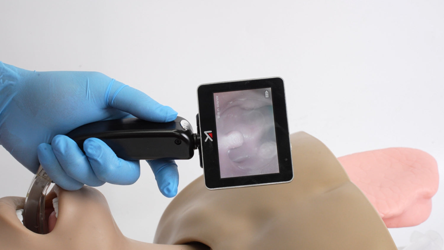 Airway Management Trainer Oral Cavity Internal Structure