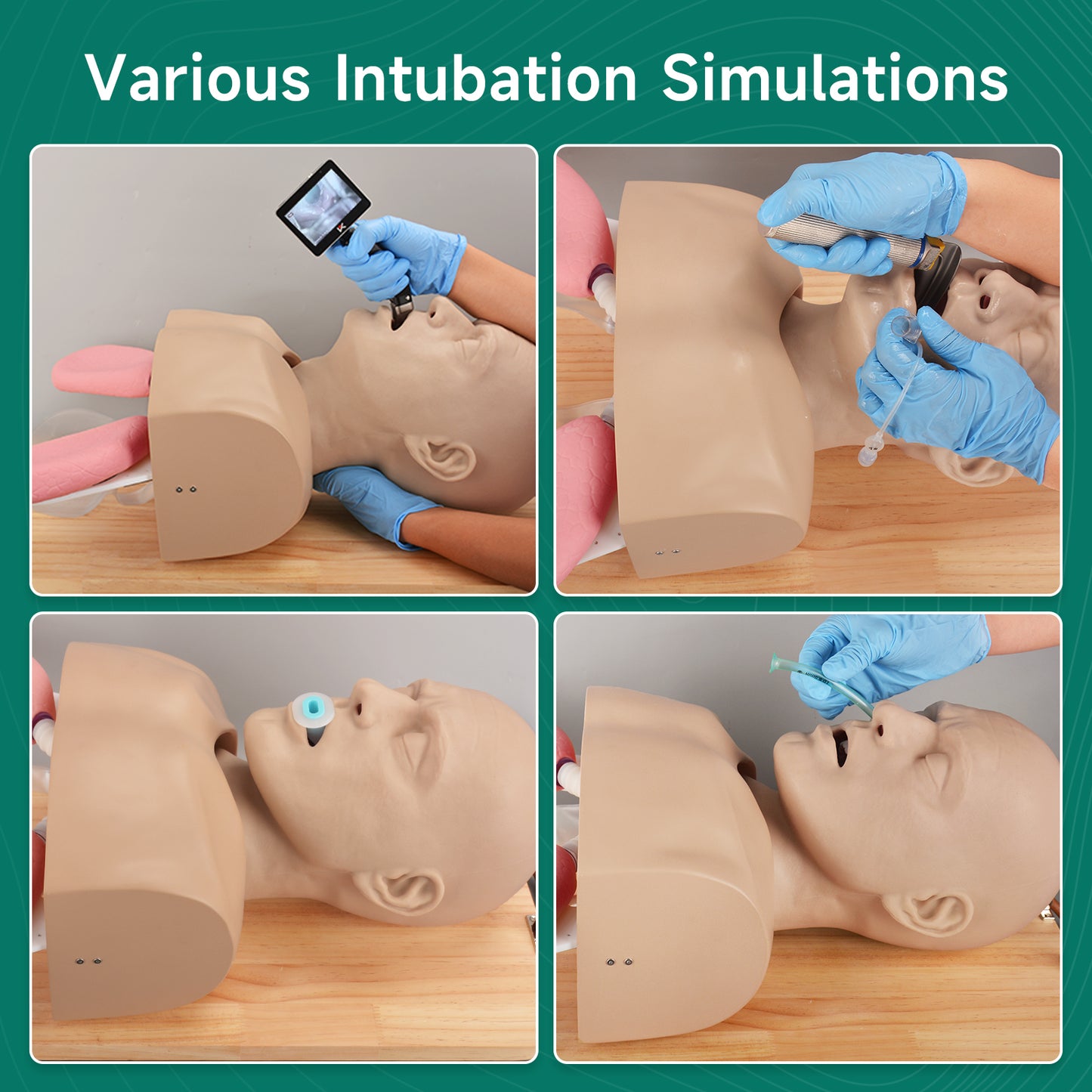 Airway Manikin Used In Various Intubation Simulation