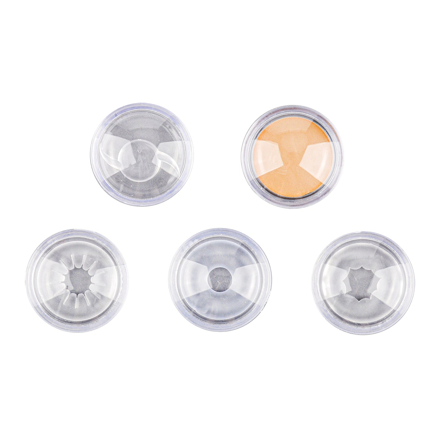 Anatomical Model Eye with Cataract