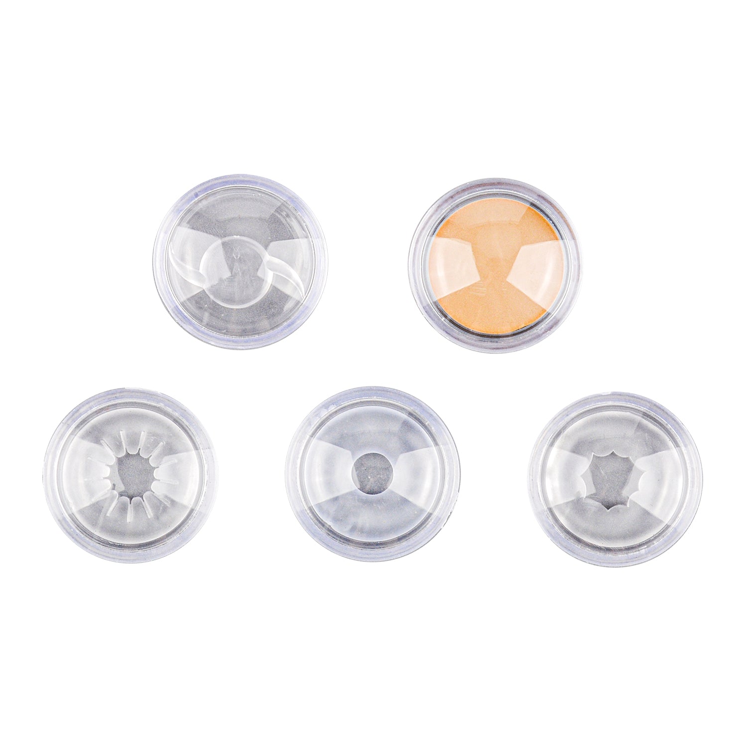 Anatomical Model Eye with Cataract