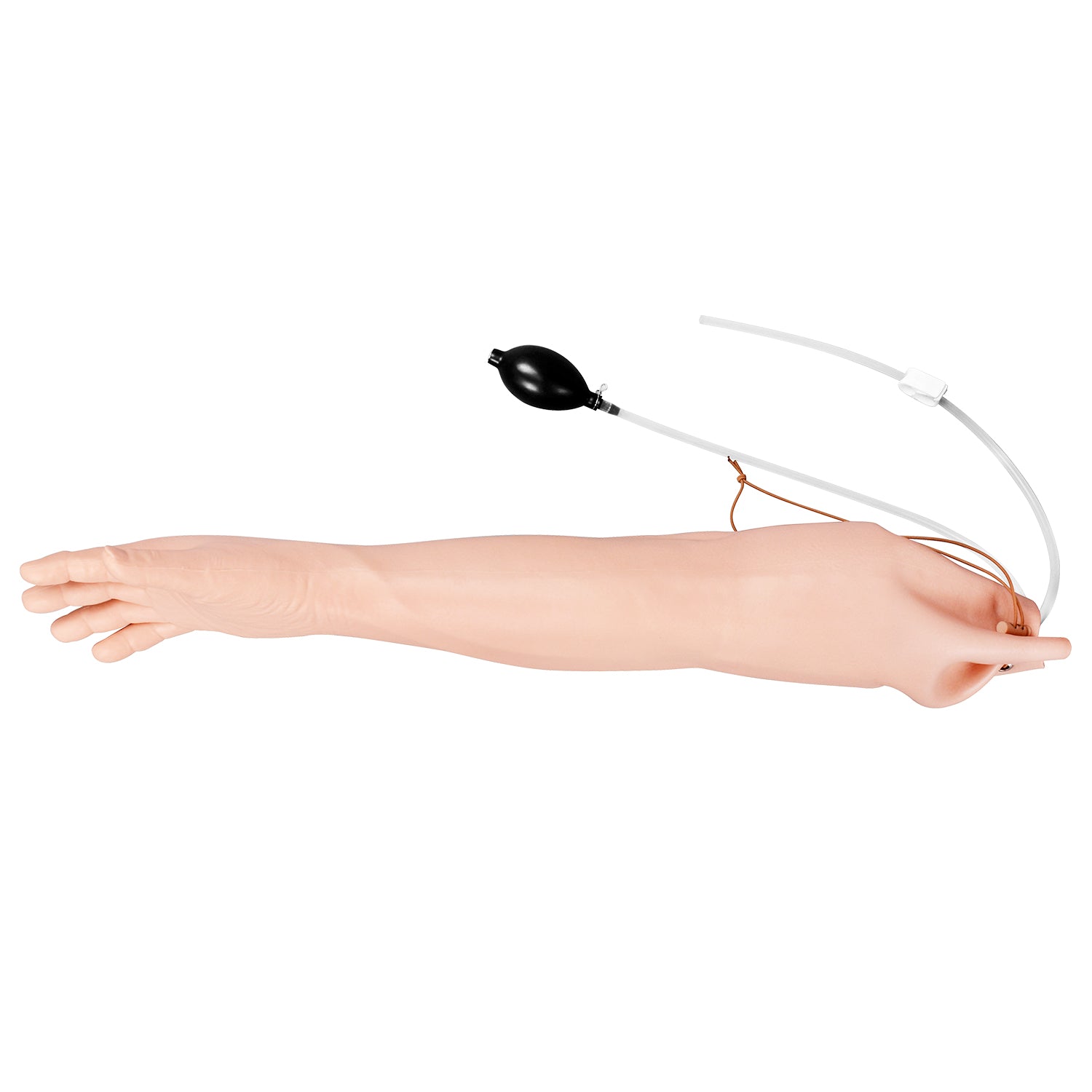 Anatomical Radial Artery Palpation on Simulator Wrist