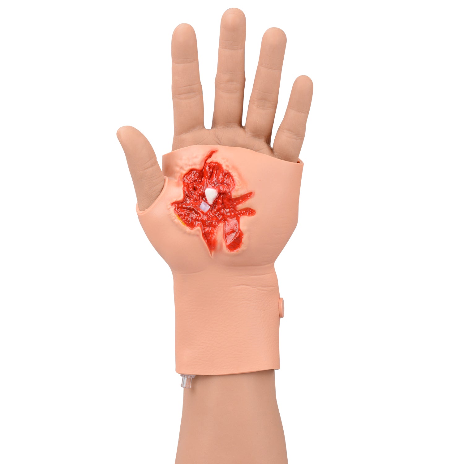 Arm Compound Fracture Model Close Up Detail