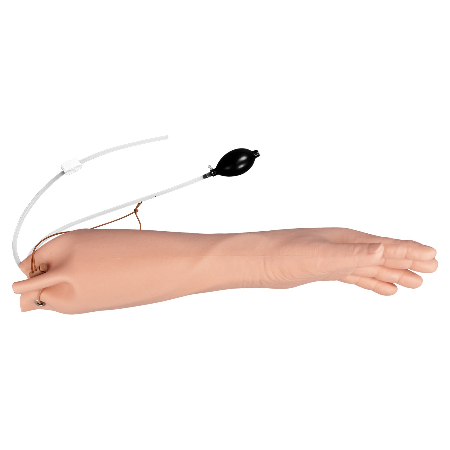 Arterial Puncture Arm Simulator for Nursing Schools