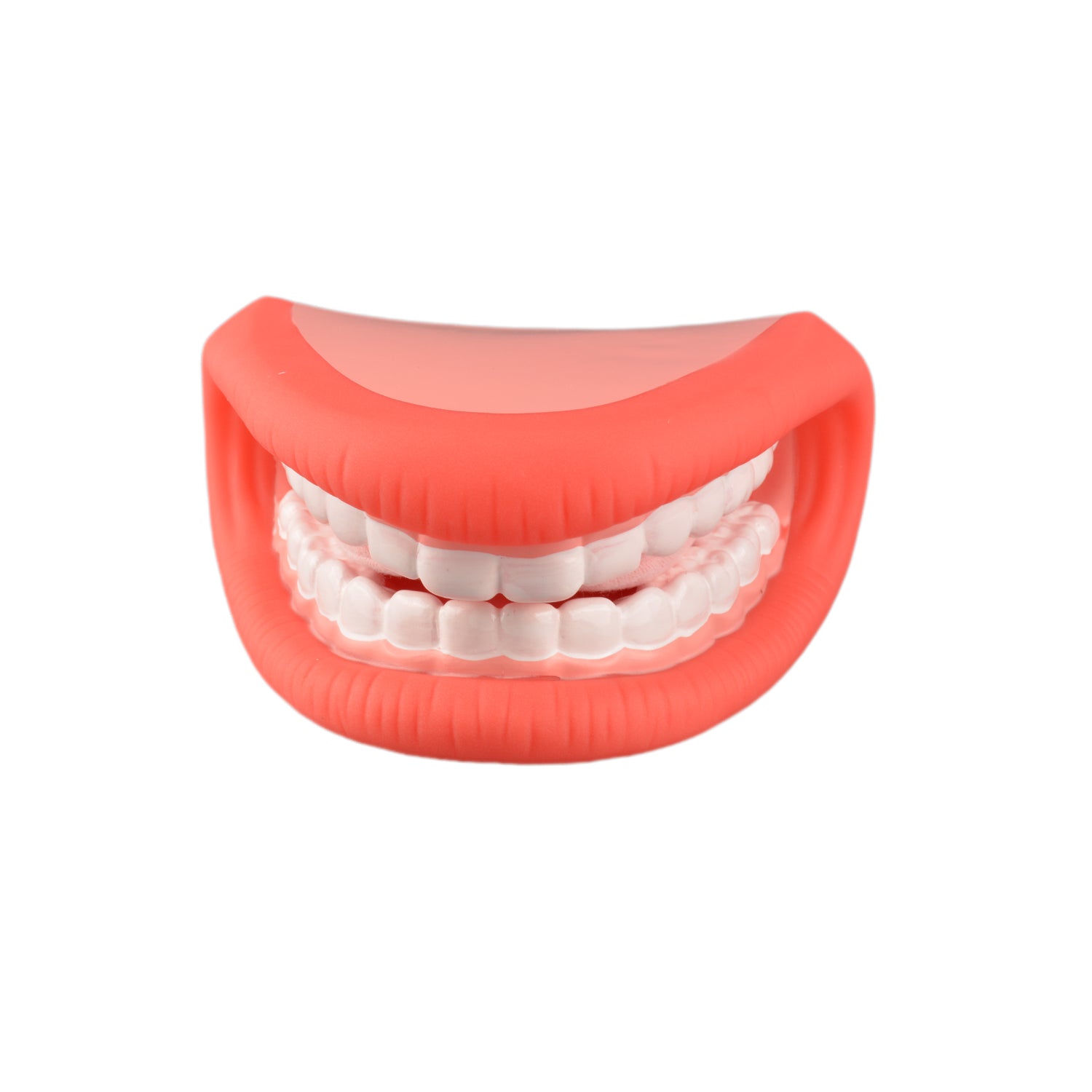 Big Hand Mouth Model for Speech Therapy – Medarchitect