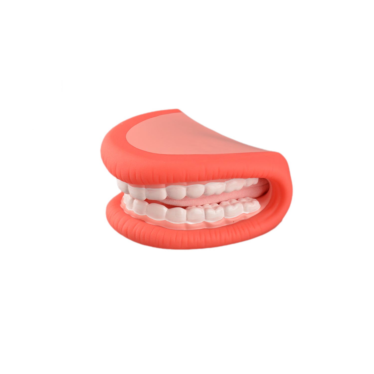 Big Hand Mouth Puppet