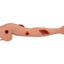 Bleeding Control Training Arm Medium Skin Tone