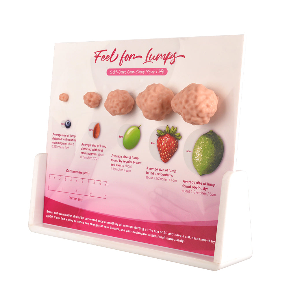 Breast Health Self-Exam Teaching Tool