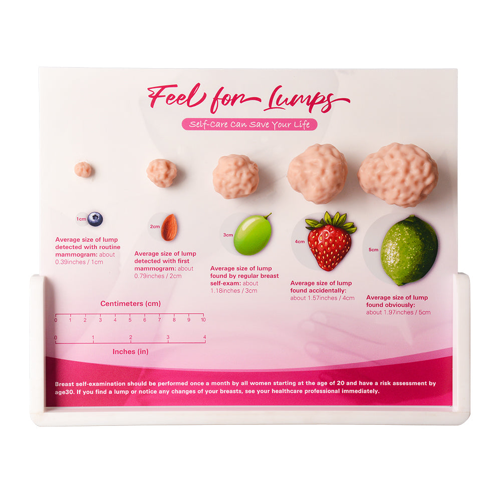 Breast Lump Display Model For Self Exam Training