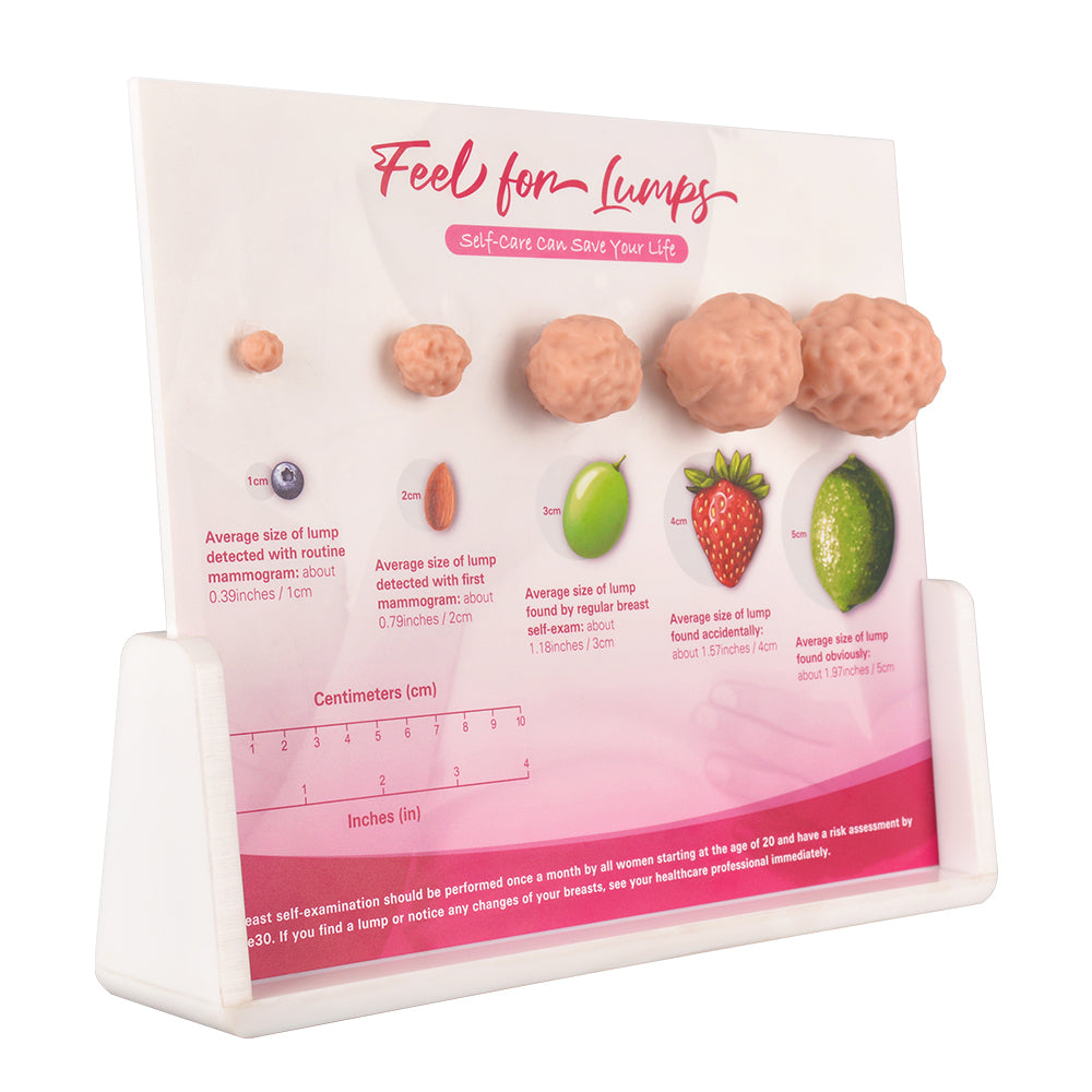 Breast Lump Education Model