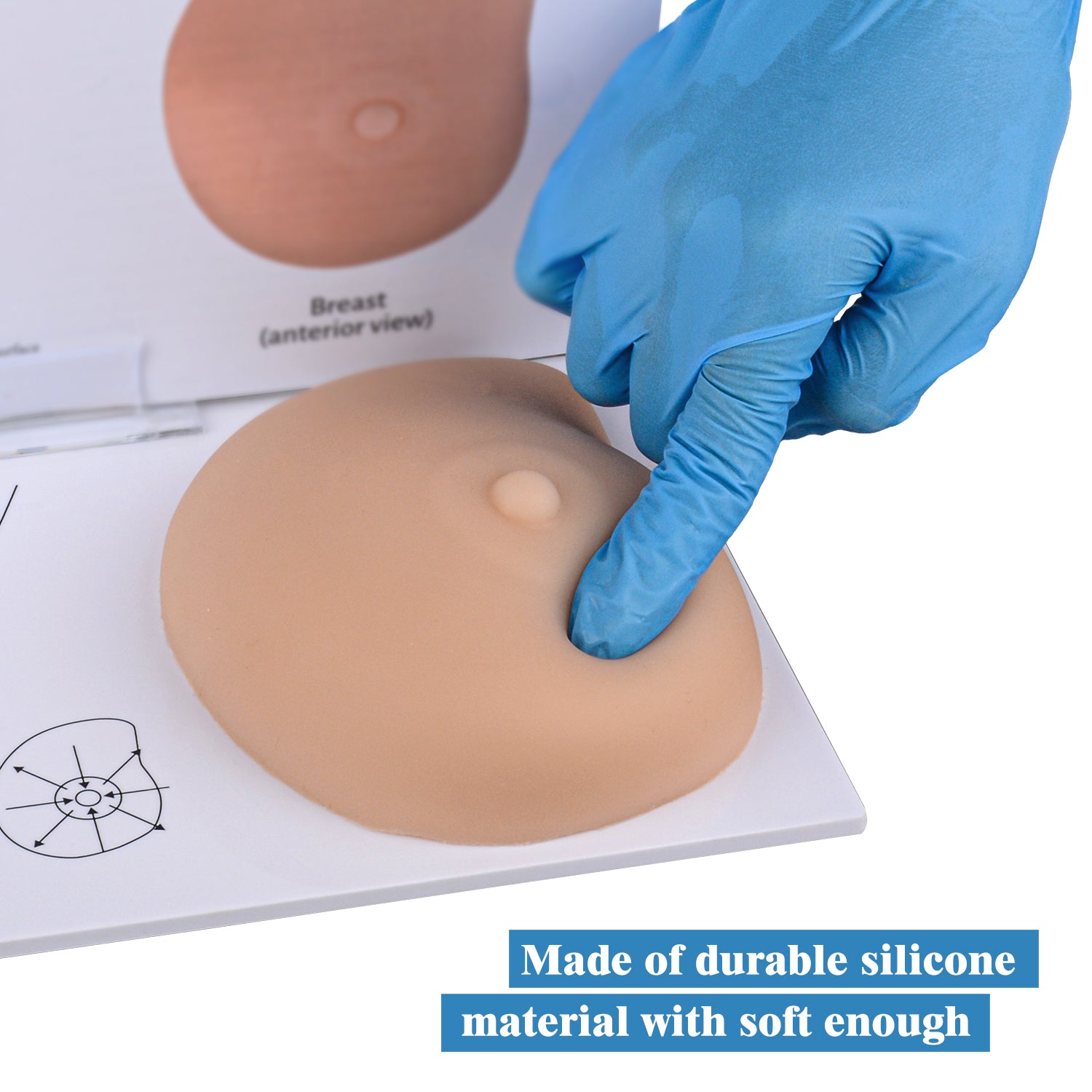 High-Quality Silicone Breast Examination Model For Education