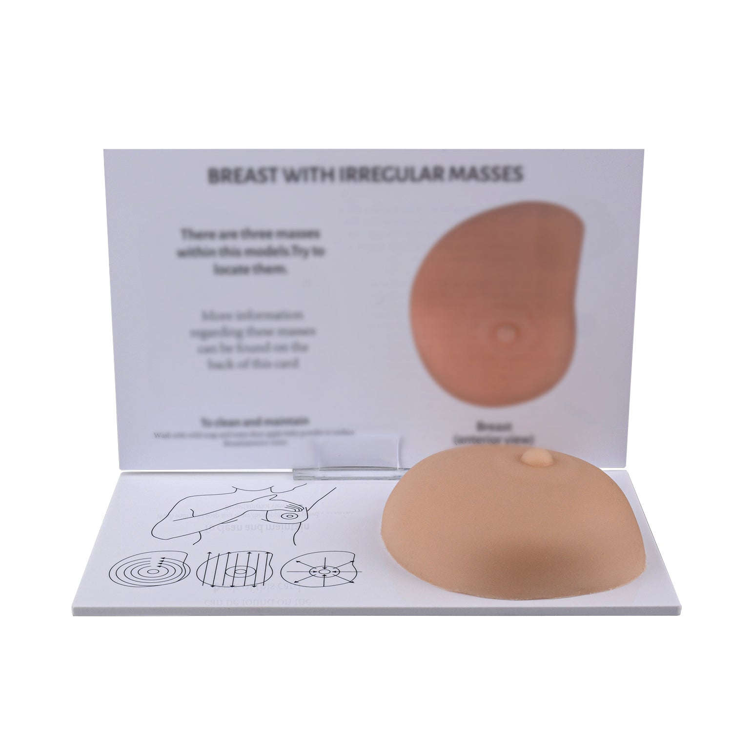 BSE Model For Breast Self Examination