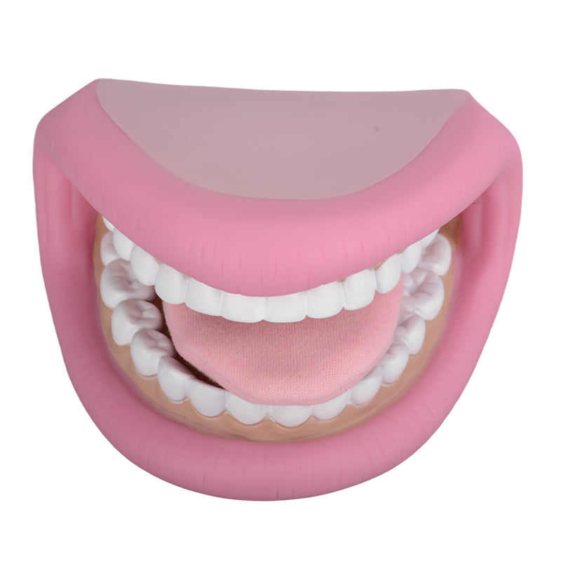 Brushing Teeth Learning Tool With Puppet