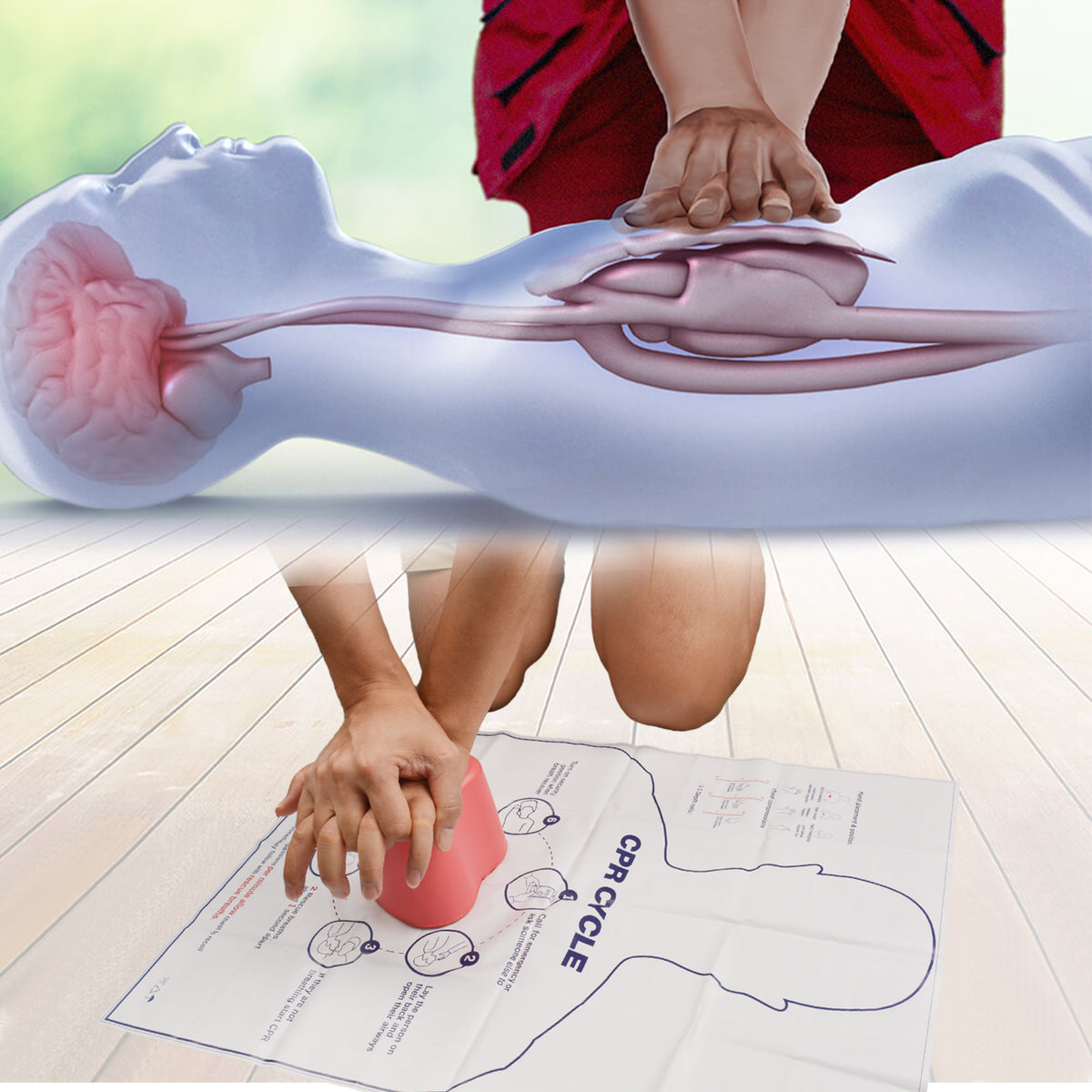 Cpr Modeling Pocket CPR Training Model – Heart-Shaped Practice Cube – Medarchitect