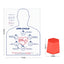 CPR Training Tool Size and Dimensions Display