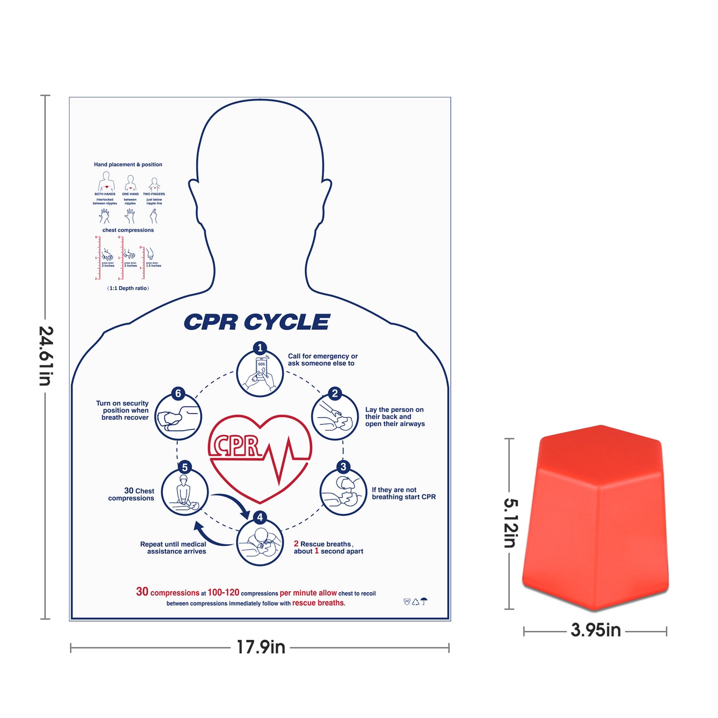 CPR Training Tool Size and Dimensions Display