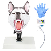 Canine Airway Intubation Trainer