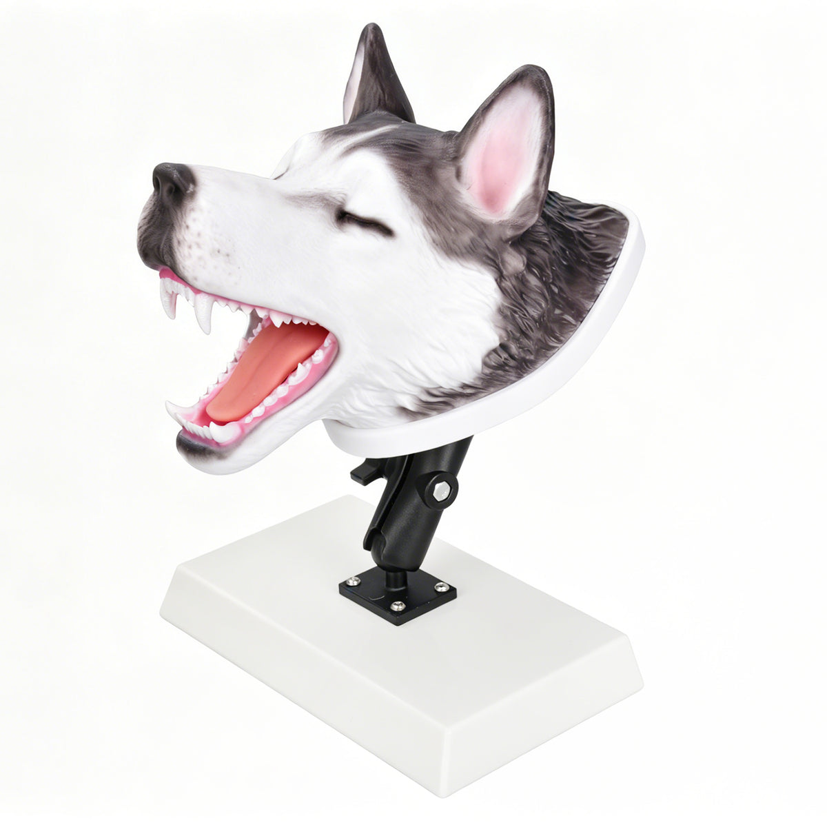 Canine Airway Intubation Trainer