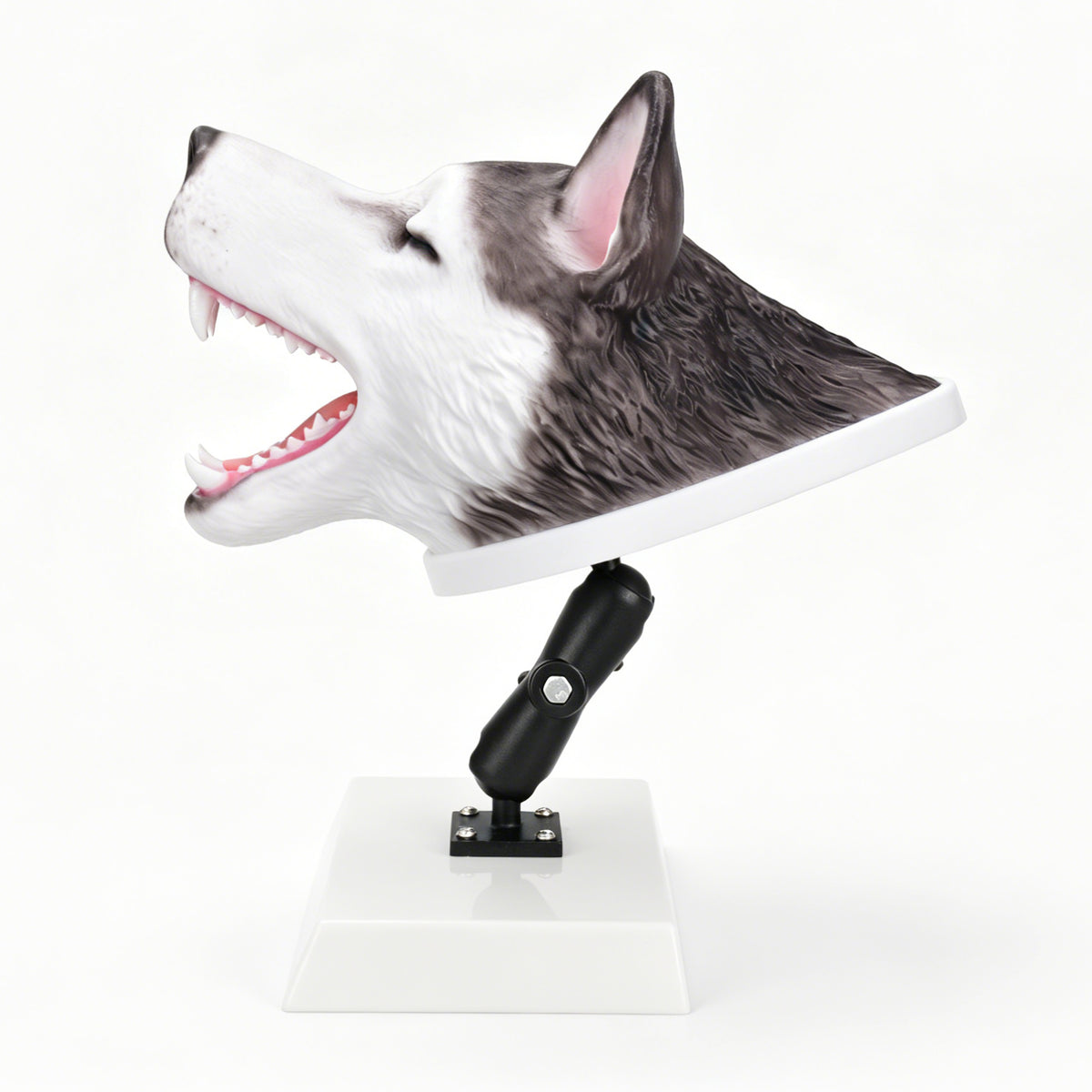 Canine Airway Intubation Trainer