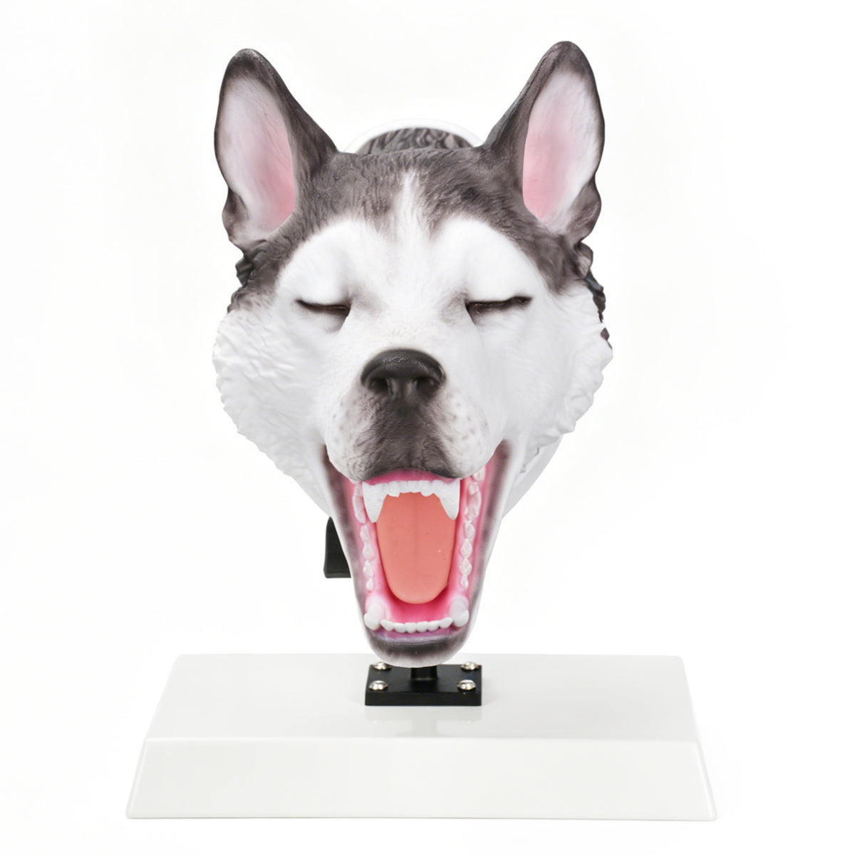 Canine Airway Intubation Trainer