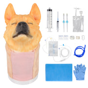 Canine Jugular Venipuncture Training Head Model