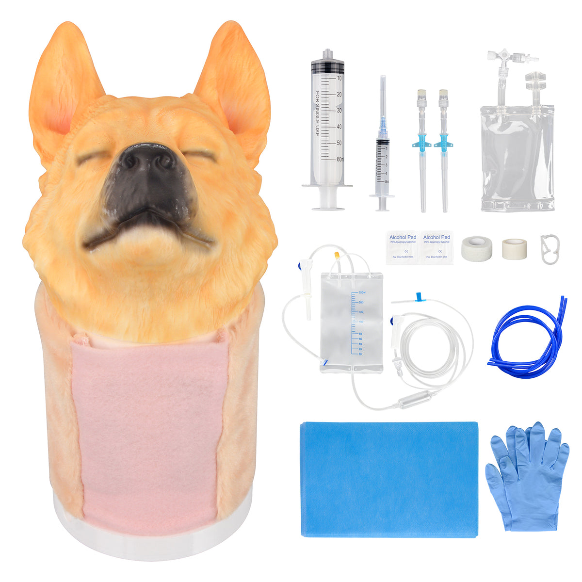 Canine Jugular Venipuncture Training Head Model