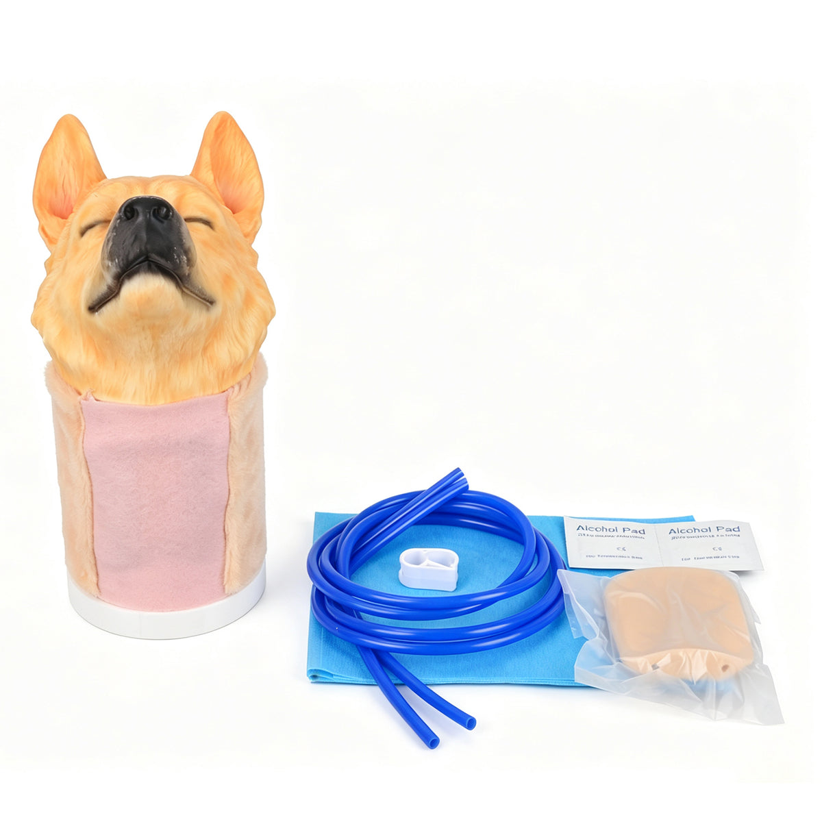 Canine Jugular Venipuncture Training Head Model