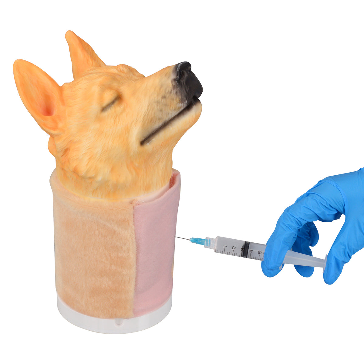 Canine Jugular Venipuncture Training Head Model