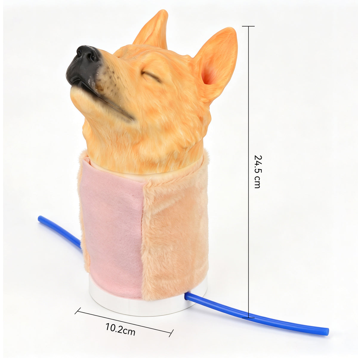 Canine Jugular Venipuncture Training Head Model