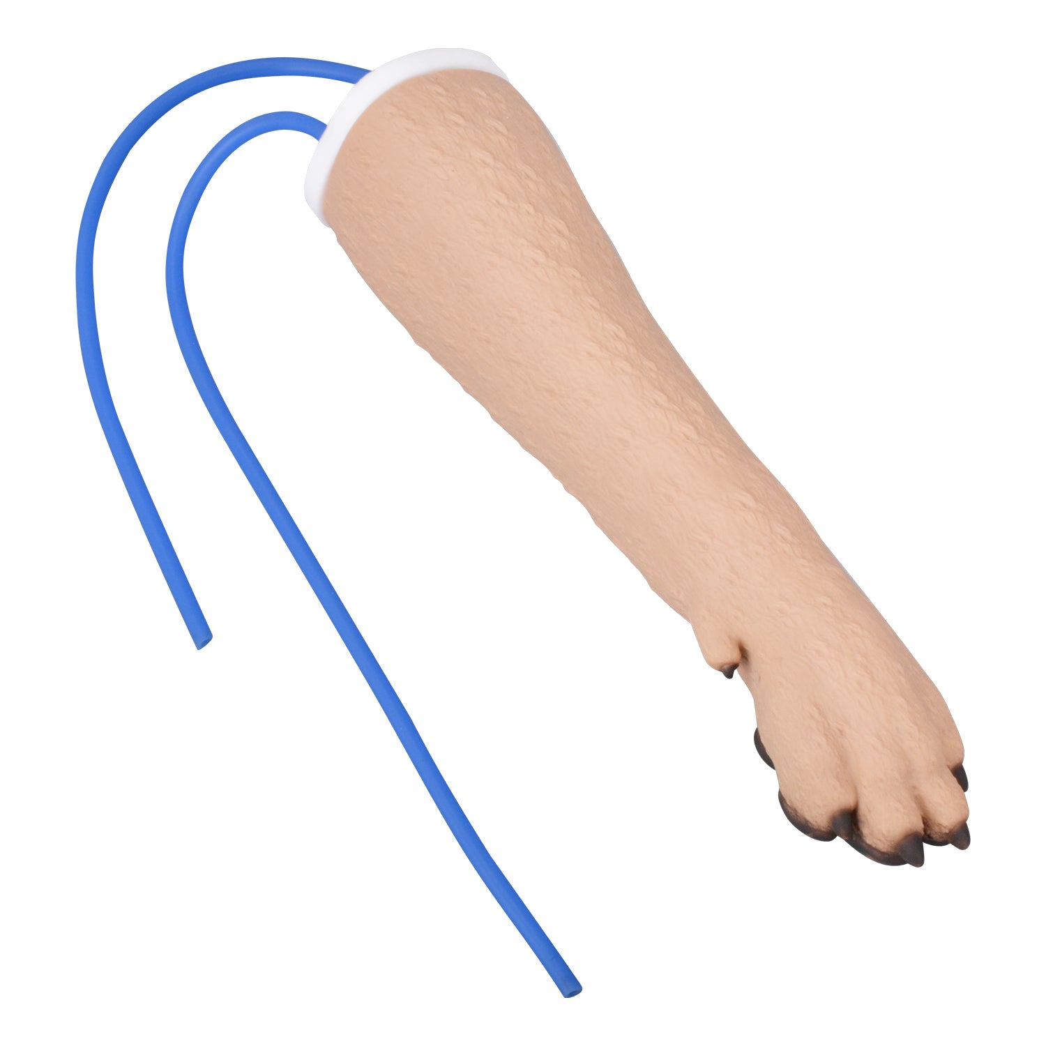 Canine Leg IV Injection Training Kit