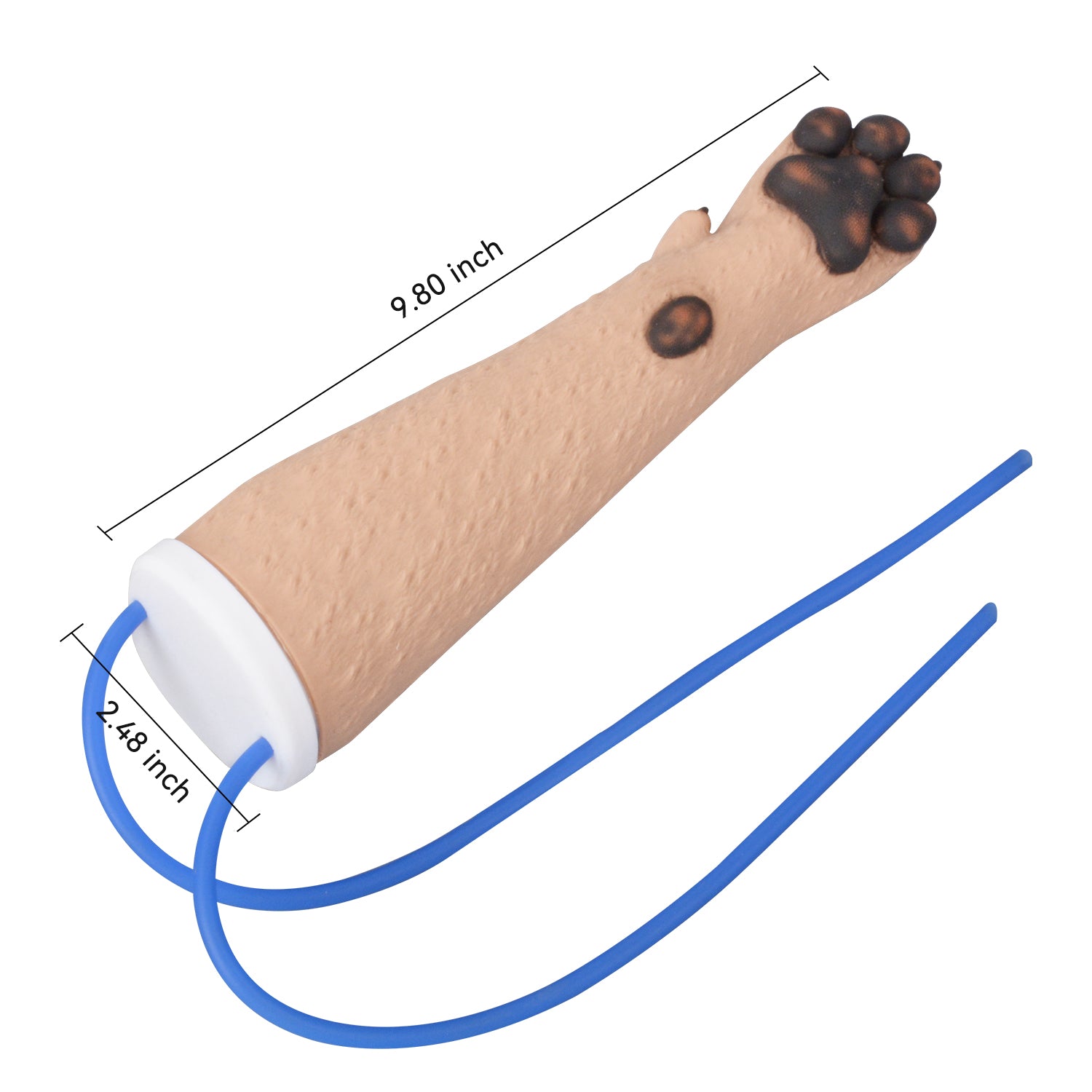 Canine Leg IV Injection Training Kit