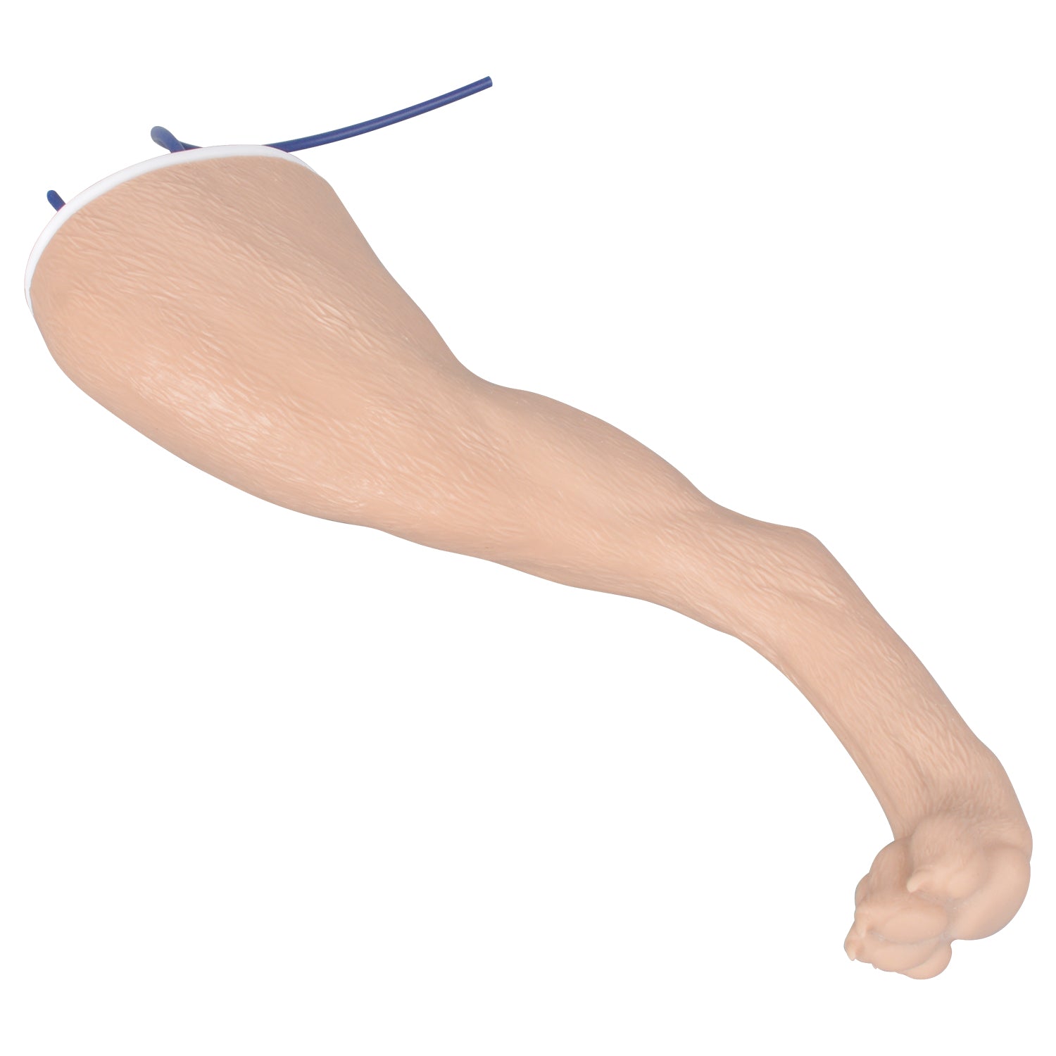 Canine Saphenous Vein Venipuncture & IV Access Trainer