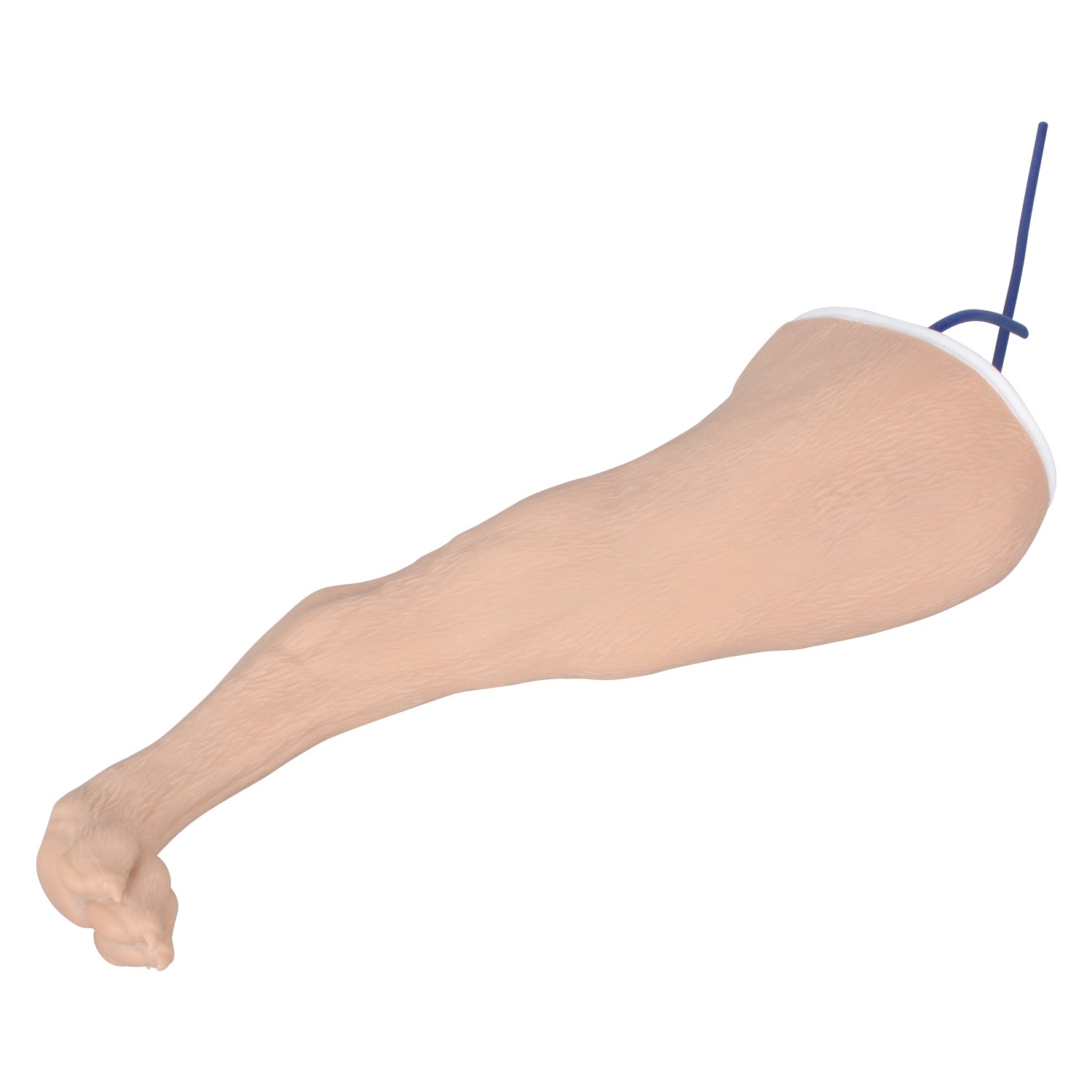 Canine Saphenous Vein Venipuncture & IV Access Trainer