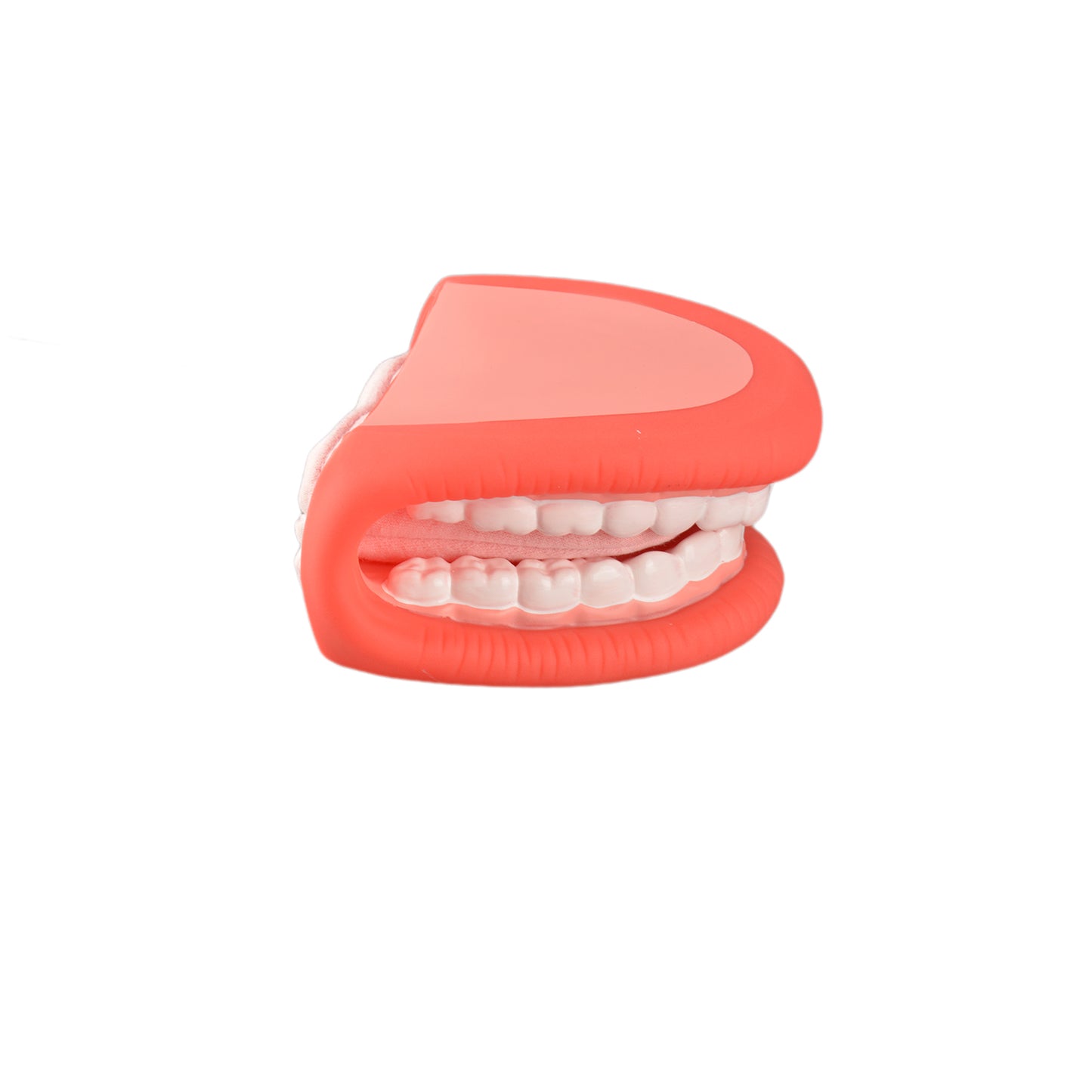 Children Oral Health Training Tool