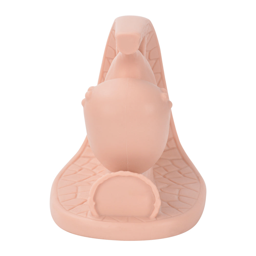 Classroom Teaching Female Contraceptive Simulator