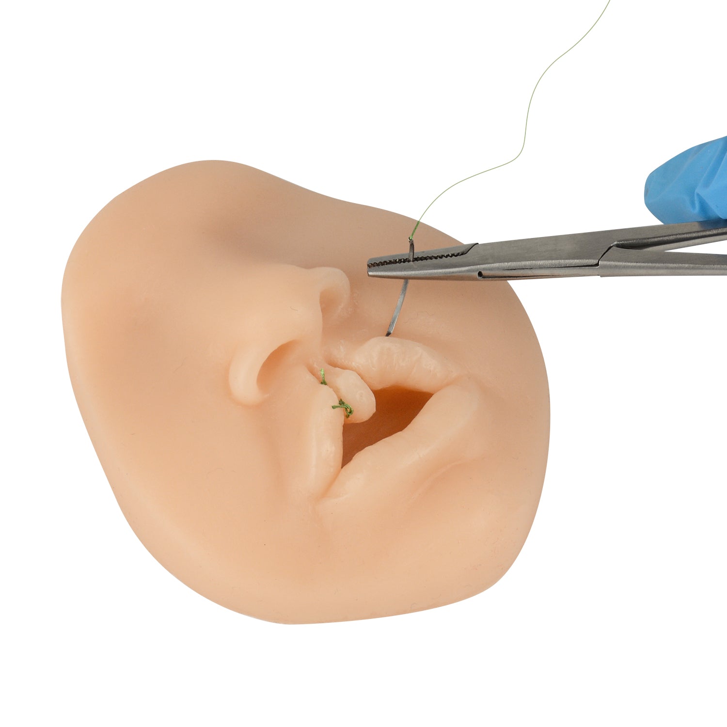 Cleft Lip Model for Pediatric Surgical Exercises