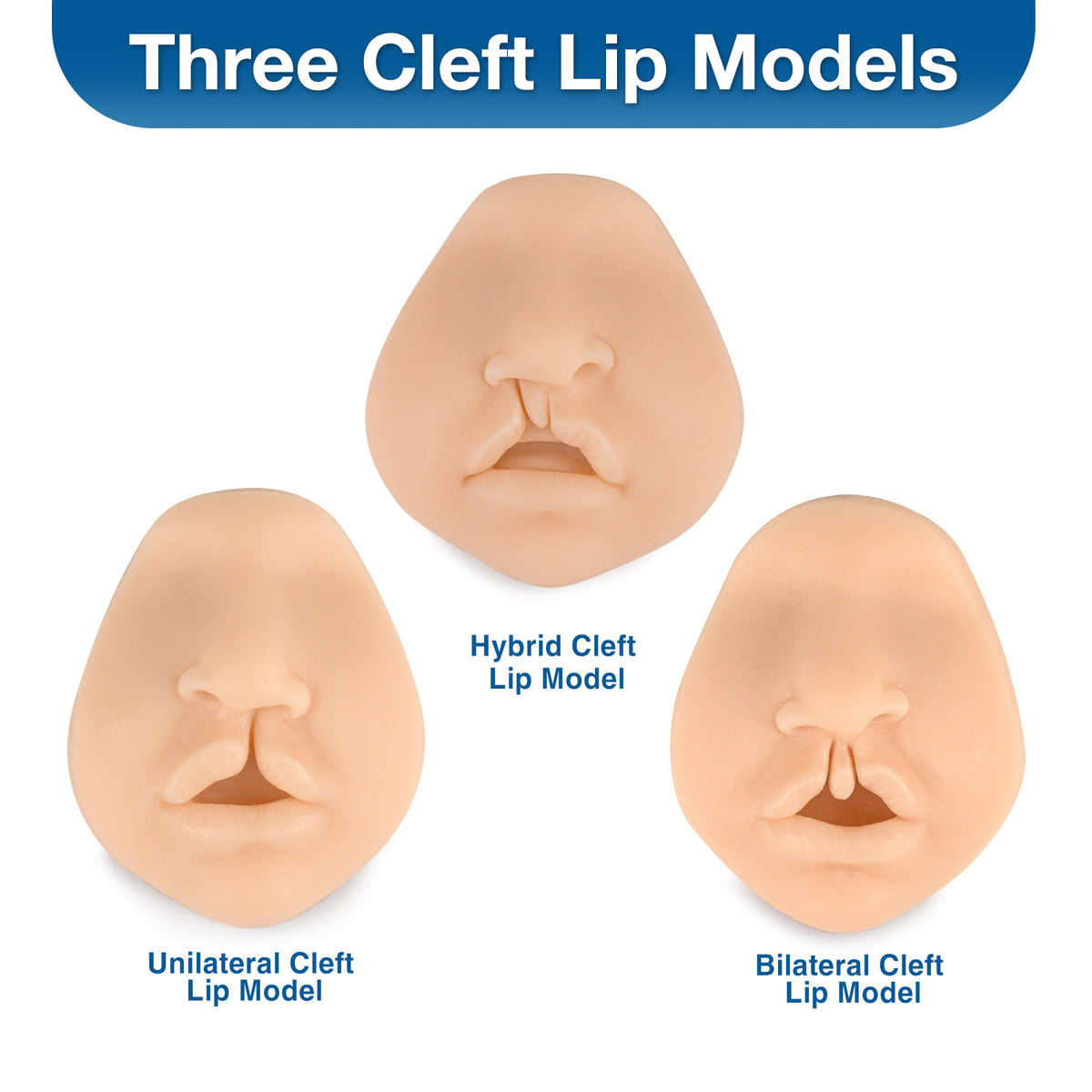 Cleft Lip Suturing Model & Repair Training Simulator