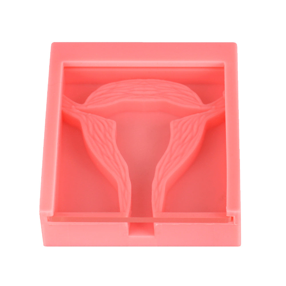 Compact IUD Training Model for Students and Clinics