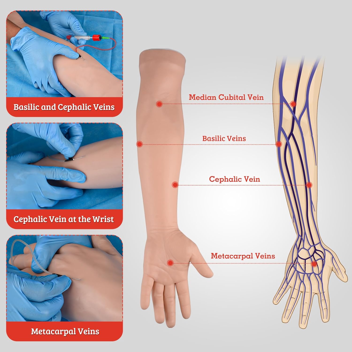 Correct Palpable Veins Replacement in IV Arm