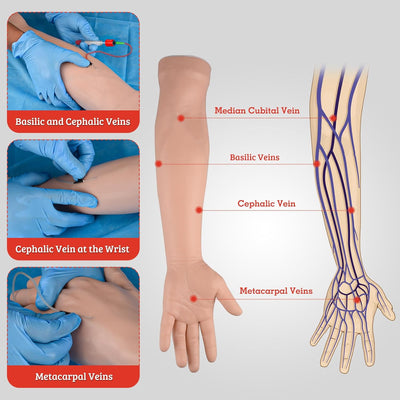 Correct Palpable Veins Replacement in IV Arm