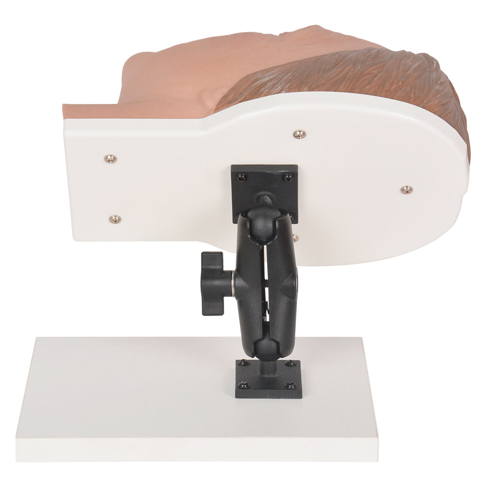 Cosmetic Injection Practice Mannequin Male Face Features