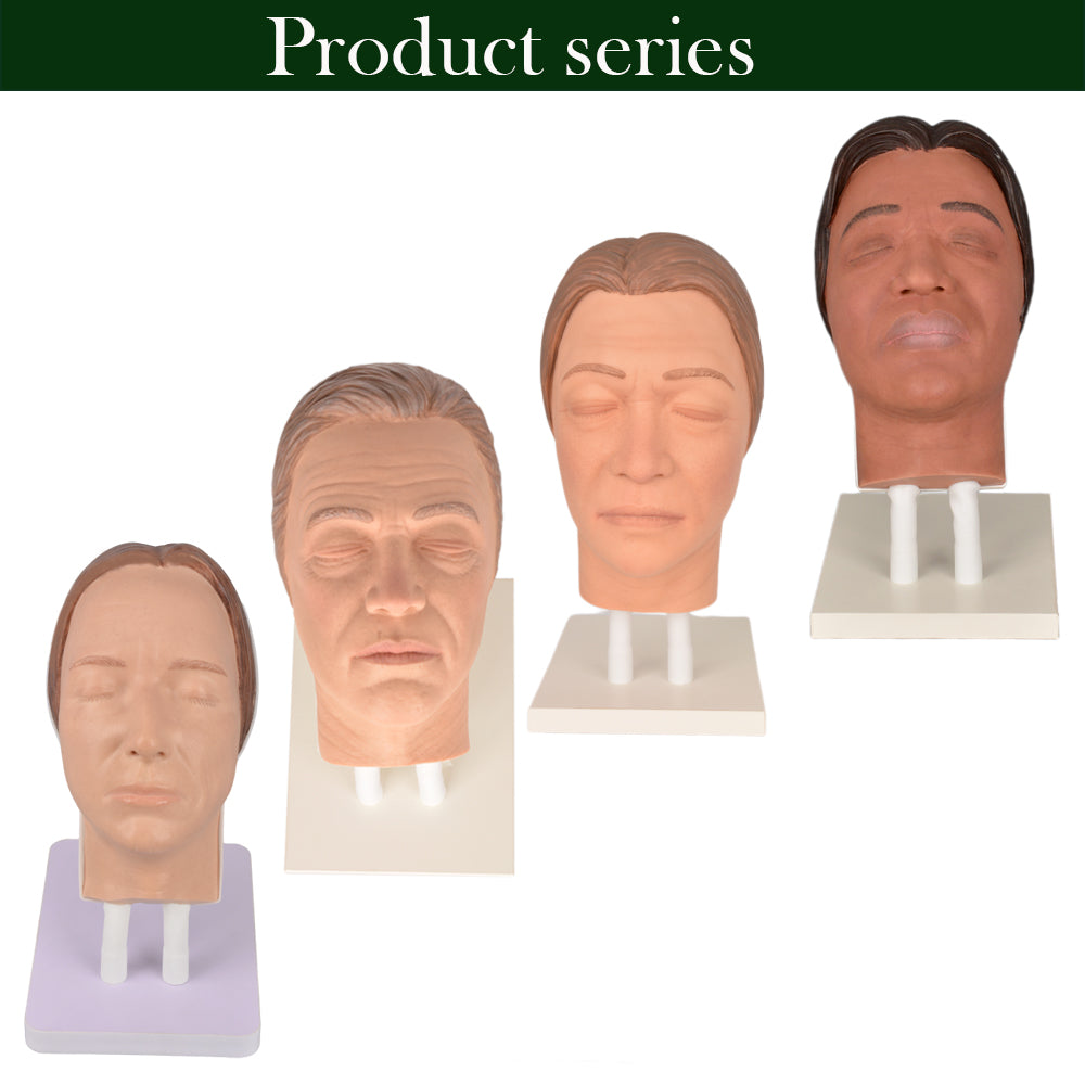 Cosmetic Injector Training Head Model Series