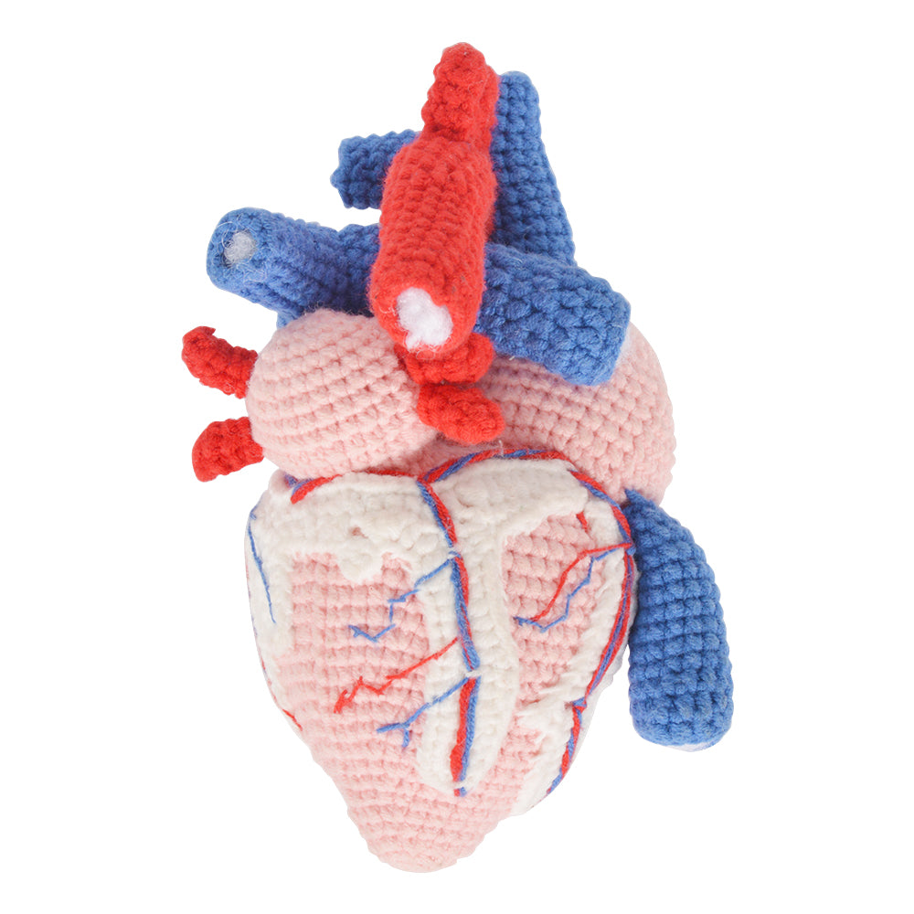 Handmade Crochet Anatomical Heart – Medarchitect