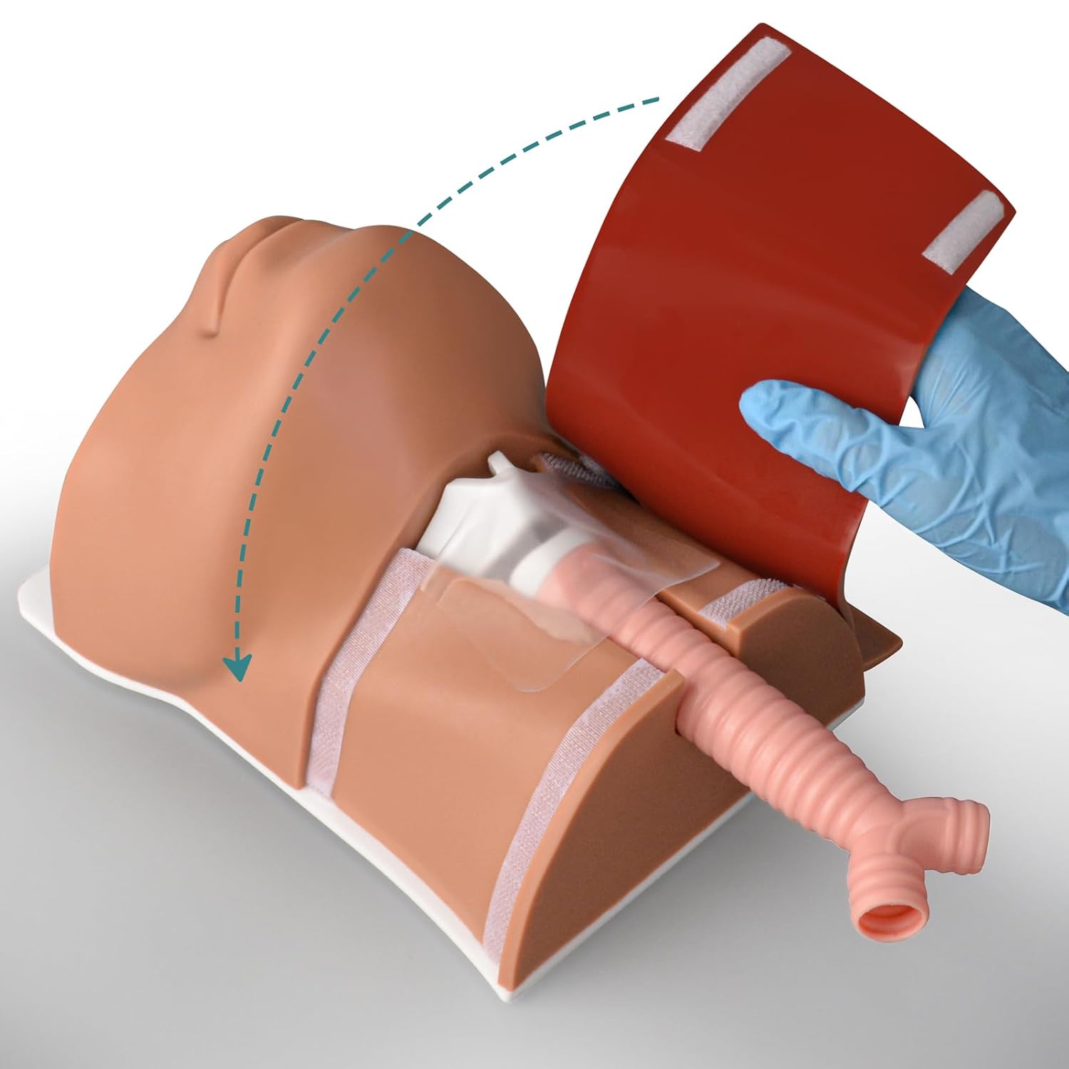 Cricothyrotomy Simulator Neck Skin Velcro Setup