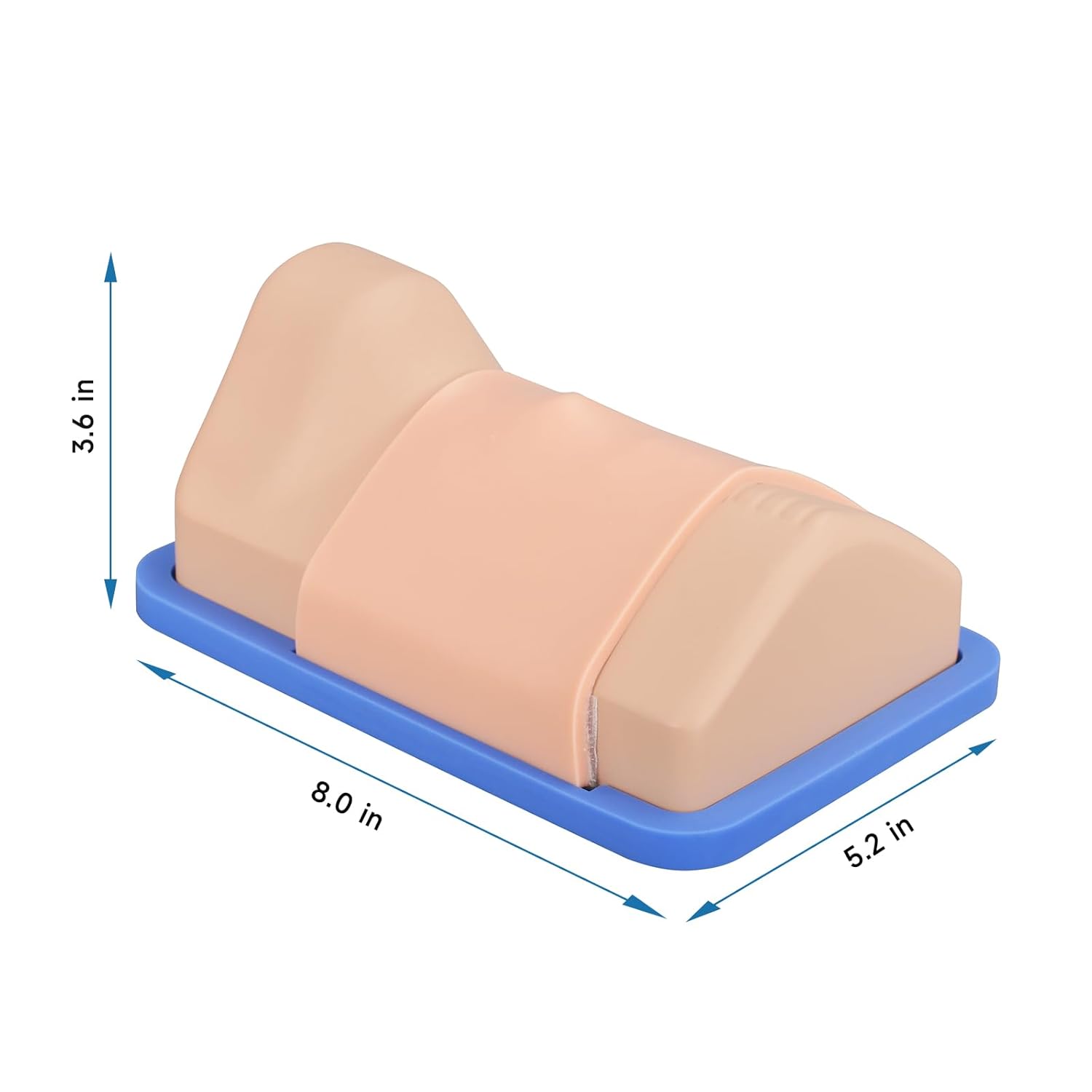 Cricothyrotomy Trainer Size And Dimension Details