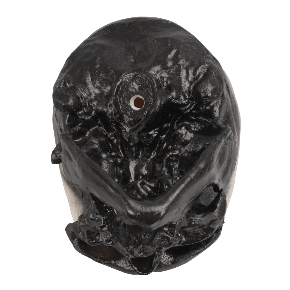 Cro-Magnon Skull For Medical And Biology Study