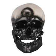 Cro-Magnon Skull Model 