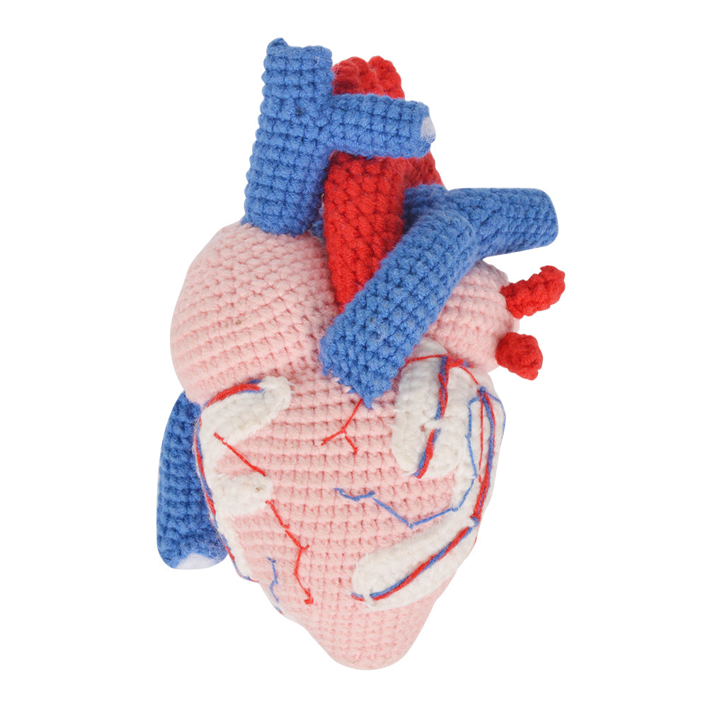 Crochet Human Heart Teaching Tool For Kids
